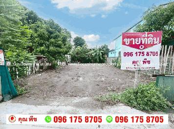 ขาย ที่ดิน บางกรวย ซอย วัดโคนอน บางสีทอง